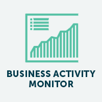 business-activity-monitor-icon