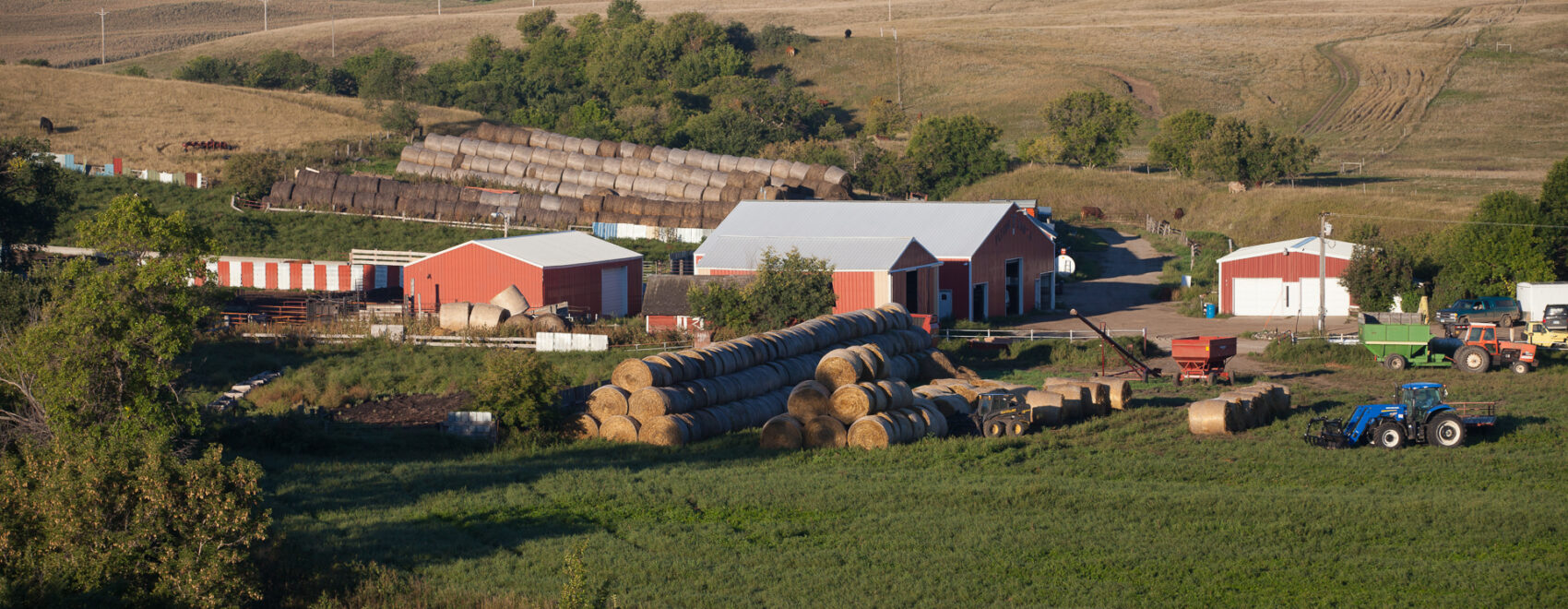 photo of a farm