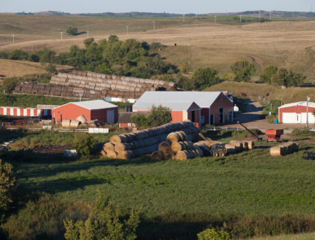 photo of a farm