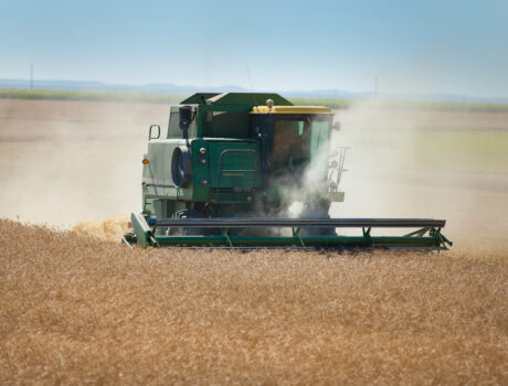 photo of combine harvesting