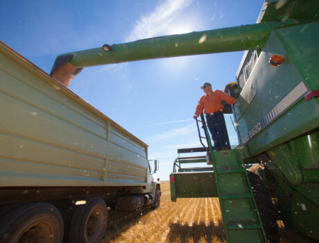 photo of combine harvesting with farmer