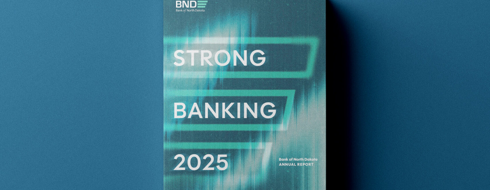 Annual Report 2025 cover visual