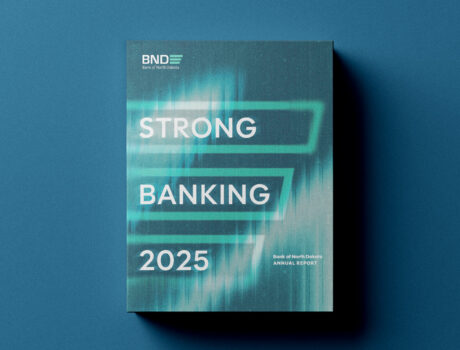 Annual Report 2025 cover visual