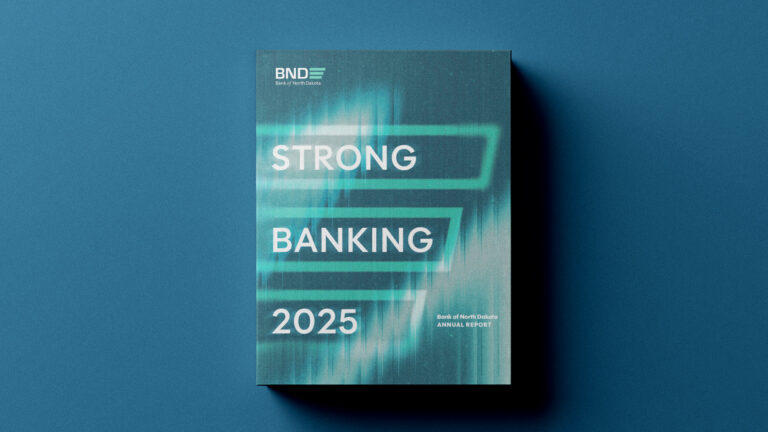 Annual Report 2025 cover visual