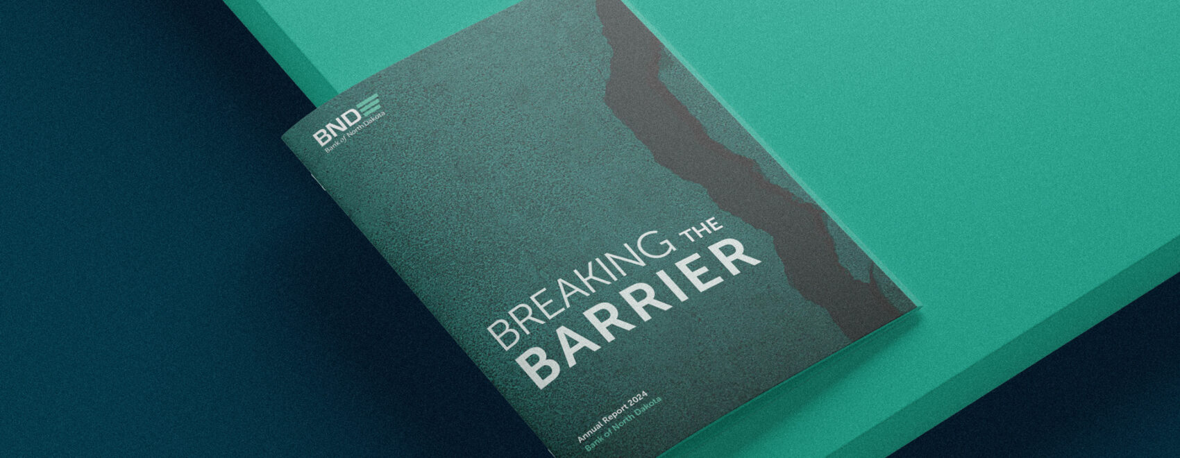 Cover photo of the 2024 BND Annual Report