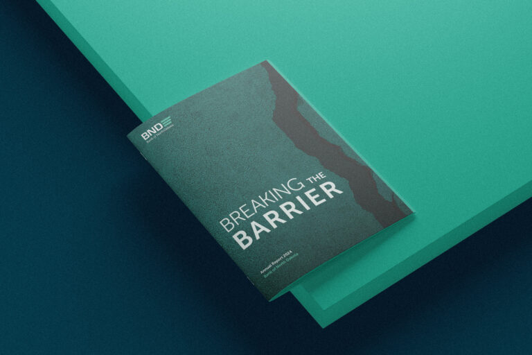 Cover photo of the 2024 BND Annual Report