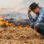 Farmer experiencing farm disaster