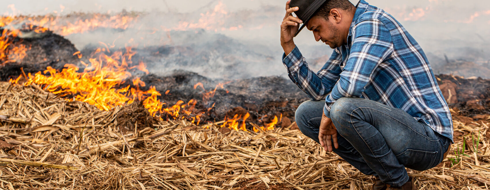 Farmer experiencing farm disaster