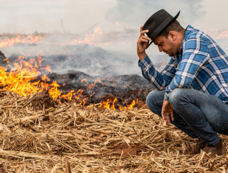 Farmer experiencing farm disaster