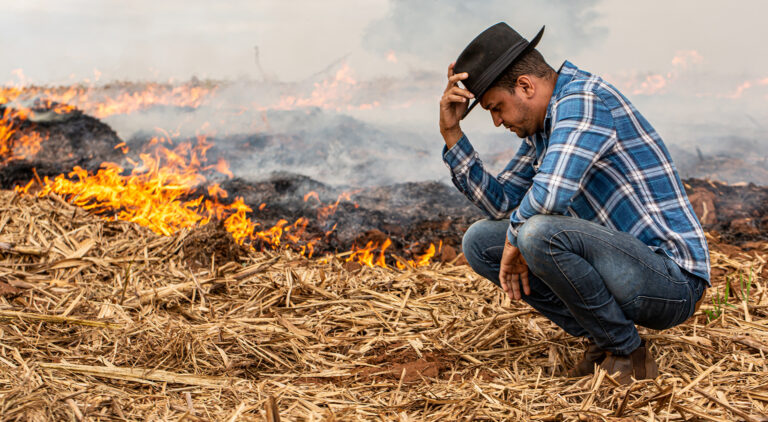 Farmer experiencing farm disaster